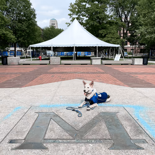 93545033271846001454118804230311667247513649279000342993662872585887203459073