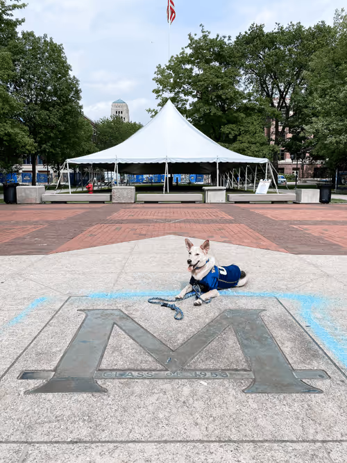 Item #93545033271846001454118804230311667247513649279000342993662872585887203459073 Media