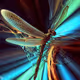 Dragonfly picture