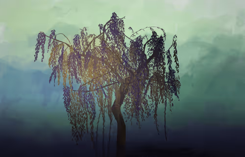 Item #19711519625028130127939549688520290096500062412698338569727015373962932649985 Media