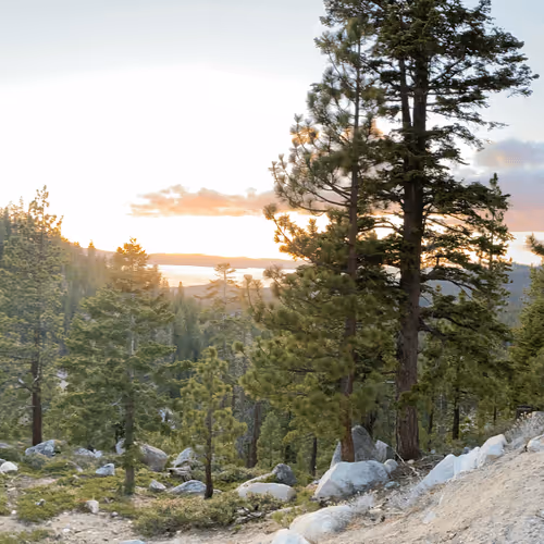 Item #88374794551078486258543346570480203677379904542062447889345517188973137494017 Media