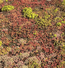 Untitled Collection #44190412