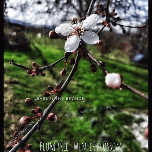 3787080761074609709675817509753112159059746763483256848434353649055873105921