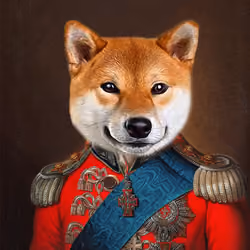 Prince Shiba