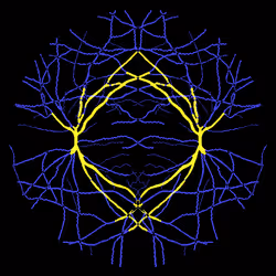 7078802064077755305879053961196844759257248211509687953083586373982995087361