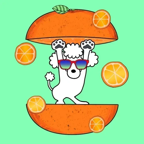 Item #47523921206824858473318896072151446766076440276511449710541504423741240639489 Media