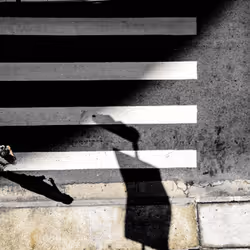 Rio de Janeiro | Summer 2013 | Cross-Walk From Above 