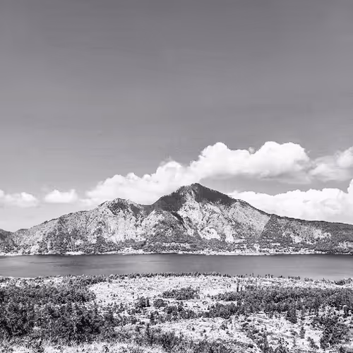 Item #31624274509119207472621893609913632294592170804295754614641563363564691914753 Media