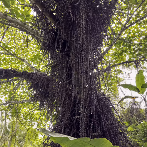 Untitled Collection #239172134