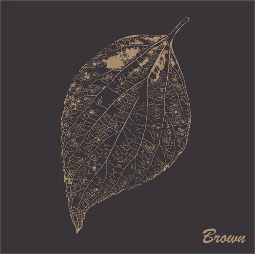 Item #40167138637940562108431742001123872206105593199433866487640627810978534260737 Media