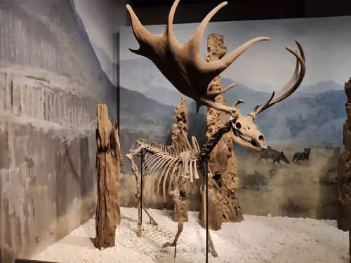 Untitled Collection #24769770