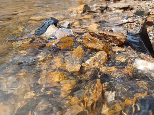 Item #32708508987210996203505439108186848896243903998336501445034175512325440667649 Media