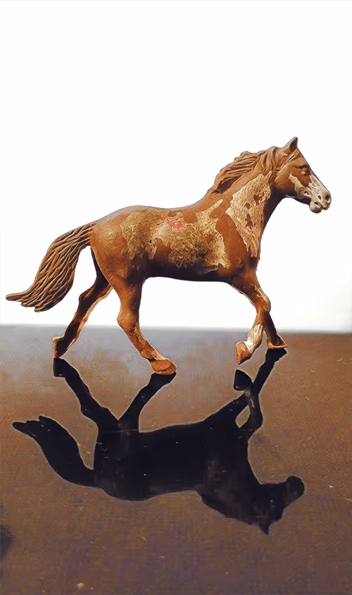 Item #83744598943058006340923454314792856147466055480968082310663932185427455246337 Media