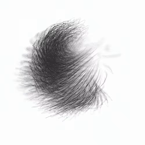 Item #29576668866712048829129967128461025350687014241687134611413611304350912610314 Media