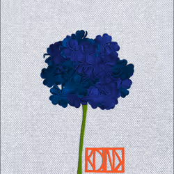 49560871776153200867828624829416347354613844027593284022244035117381587042305