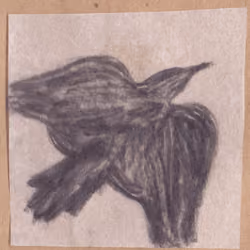 The Bird