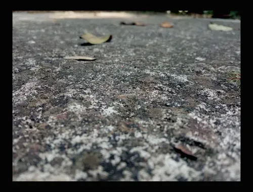 Item #229903202399770629281150266274287852530355796343641318577665408293218025622 Media