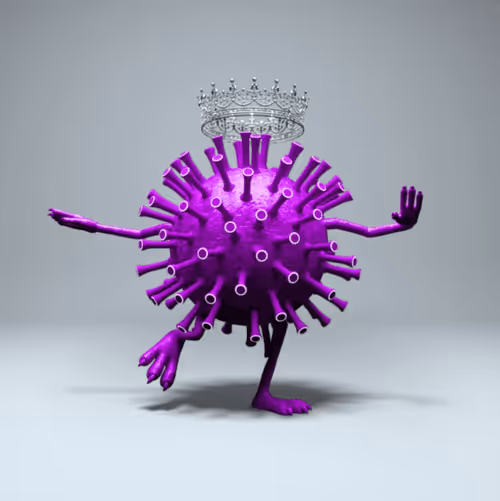 Item #36731047672651610346266928911421604711407556365979508923650172684156746596402 Media