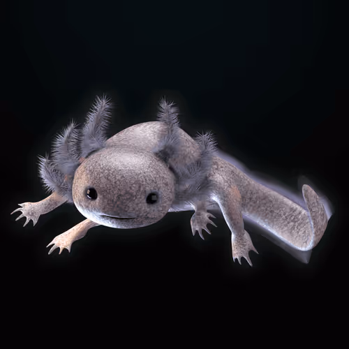 Item #39982110375740153587505644478940195082872270202471884348459982337115754070017 Media