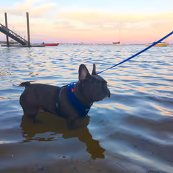 99031261785432219130552668818269695456905868997165113515571762421505812594689