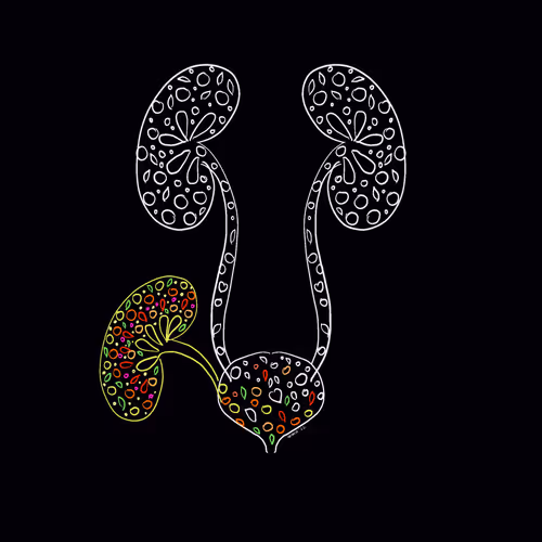 Item #36985531799291833075586665294298082460652602294849920842022081026859657592833 Media