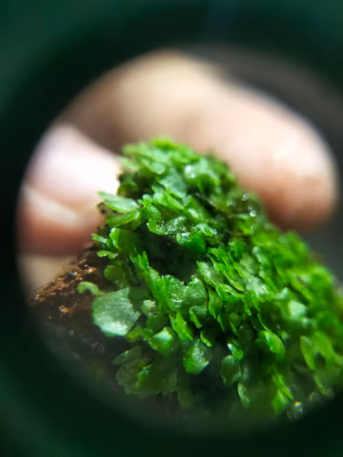 Item #12499860690887257293727532681291822536045842218714555575181684163766021783553 Media