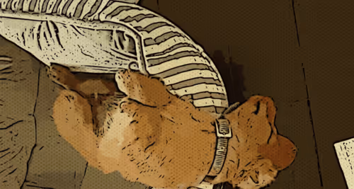 IGoByWayToMuchNames Collection