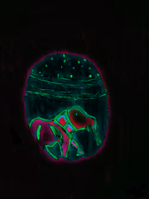 Item #80926432860847288351557924068159633664804178470775081465336394910436591403563 Media