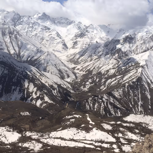 Untitled Collection #85218218