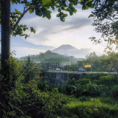 Untitled Collection #203752814