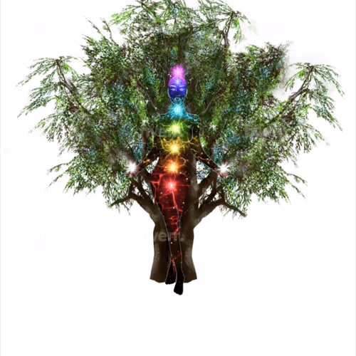 Item #73404423016462741849687942796030921052950571673093822638217342321893476139009 Media