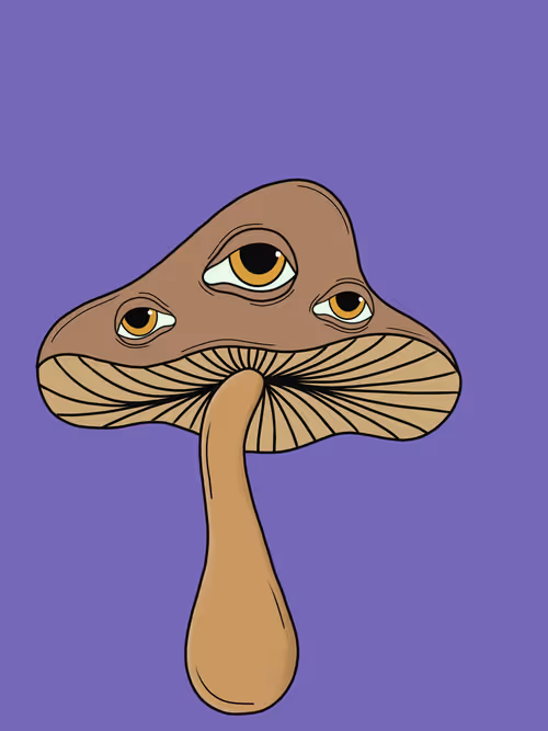 Item #46882009080235521998465650117471577430659606879218658620080168249268107214849 Media