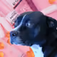 648008096045867044483137489329882592233555462946033952975387868399136669697