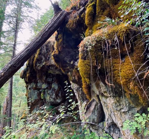 2005862319158051831365229387864138466486092287762213337058068746117306122241