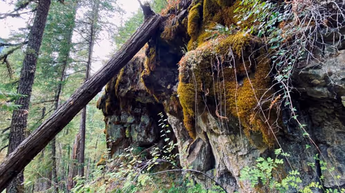 Item #2005862319158051831365229387864138466486092287762213337058068746117306122241 Media