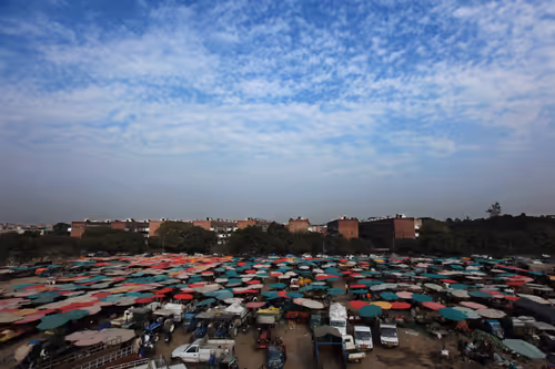 Item #9827434996622274239142424491578420426532004420569794867736171148054871670785 Media