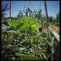 3787080761074609709675817509753112159059746763483256848434353933829384699905