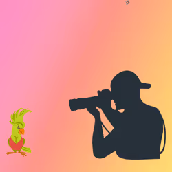 108065665434435766760522700651324844344204555372000129092130960481783465902090