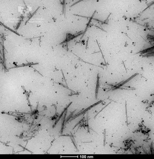 Item #23217486054753313313832658435722255441588252076400940924868810809922910420993 Media