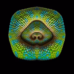 47993365230904546224908061961898398429308184507692648287352000293732161159169