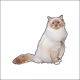 7917608709568526609042417006664391966594597627541652161018316714136012062721