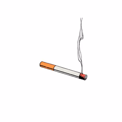 cigarette #30/117