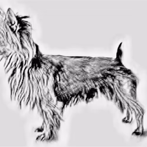 Item #23143313246472061328071561115701105421589606567298838424350448133544406417409 Media