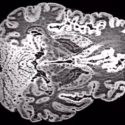 41797469363834440502181864758100633672867482759361067528328297313554768330753