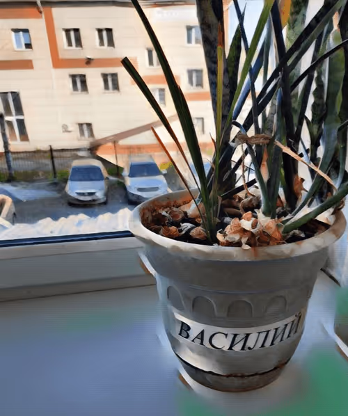 Item #82025285551670311076607062028198416568711388402095174480929433419229213753345 Media