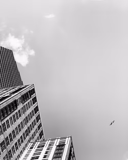 Item #113677950486462947327205975726819426438914063559217997830834655416701427908609 Media