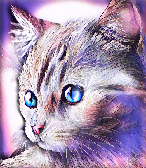 Item #12482093472768592147298085303644852702498619296241180501750779818568788738049 Media