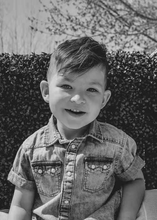 Item #76265303234218797531395326780060407197600721664743999430449730572385926512641 Media