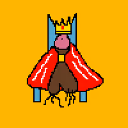 D the King 