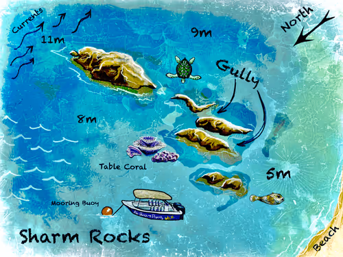 Item #71526054007575936115531091172986357366834011840093074897849449725407034081281 Media